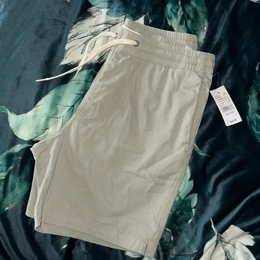 NWT PacSun Men's Volley Shorts